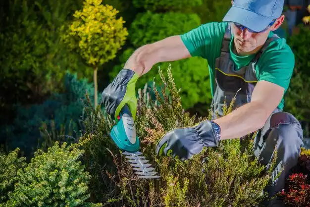 landscaping services Hudson Falls